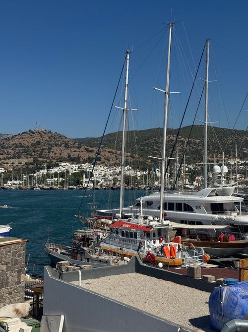 Free A picturesque view of sailboats and yachts docked in a coastal harbor on a sunny day. Stock Photo