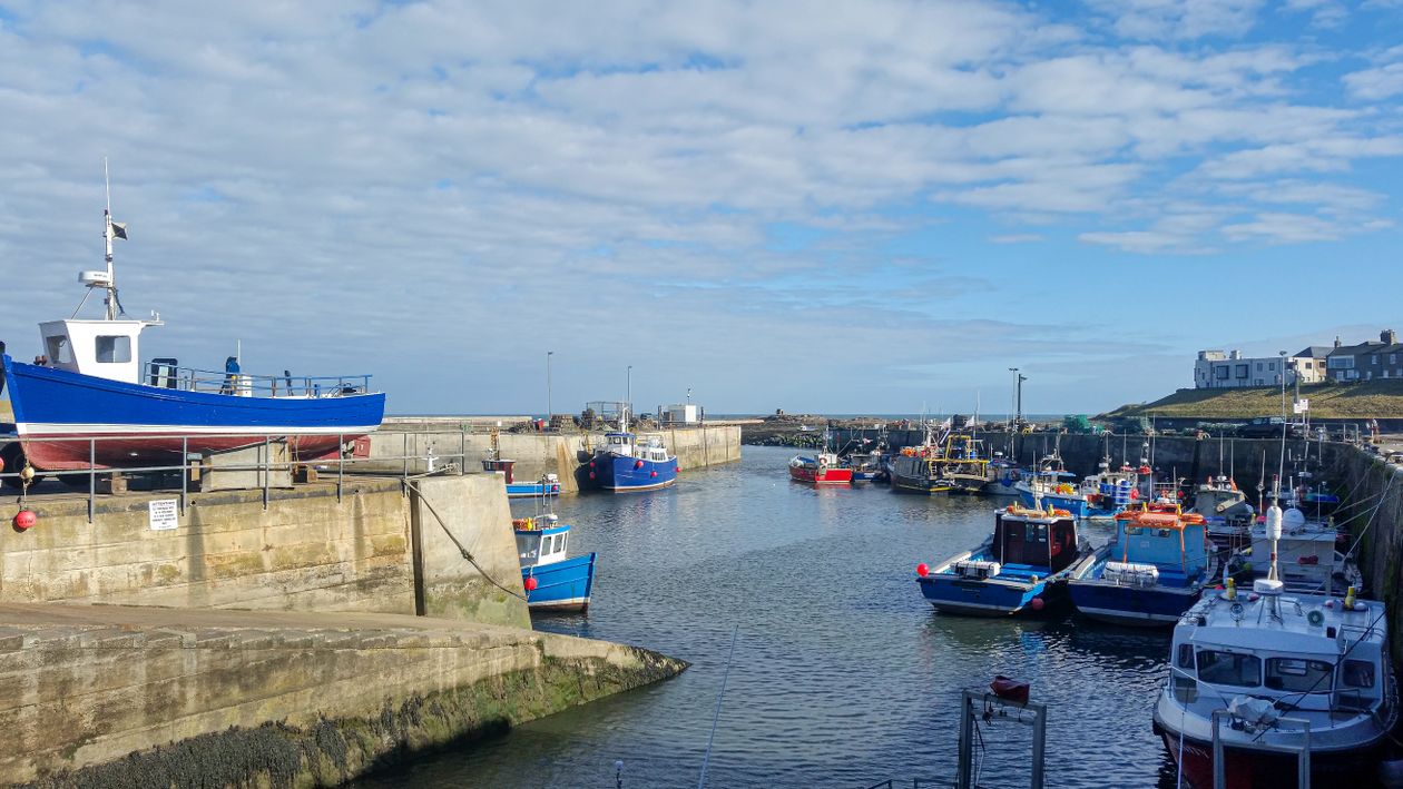 Colorful Boats Docked in a Tranquil Harbor · Free Stock Photo