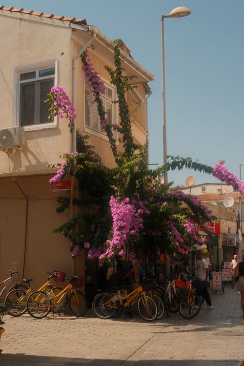 Free Explore a sunlit street adorned with bougainvillea and bicycles on Heybeliada, Istanbul. Stock Photo