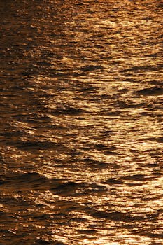 Captivating golden sunset reflections on the water in Heybeliada, İstanbul.