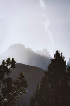 云雾缭绕的山峰上松树繁茂，构成了一幅宁静的自然景观