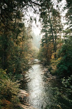 Tranquil river flowing through a lush forest, captured in vibrant autumn tones.
