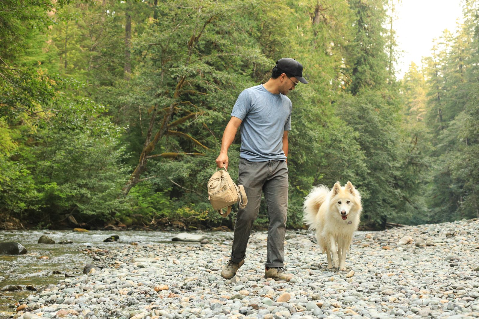 Dog Jpg Photos Download The BEST Free Dog Jpg Stock Photos HD Images dog-jpg-photos-download-the-best-free-dog-jpg-stock-photos-hd-images