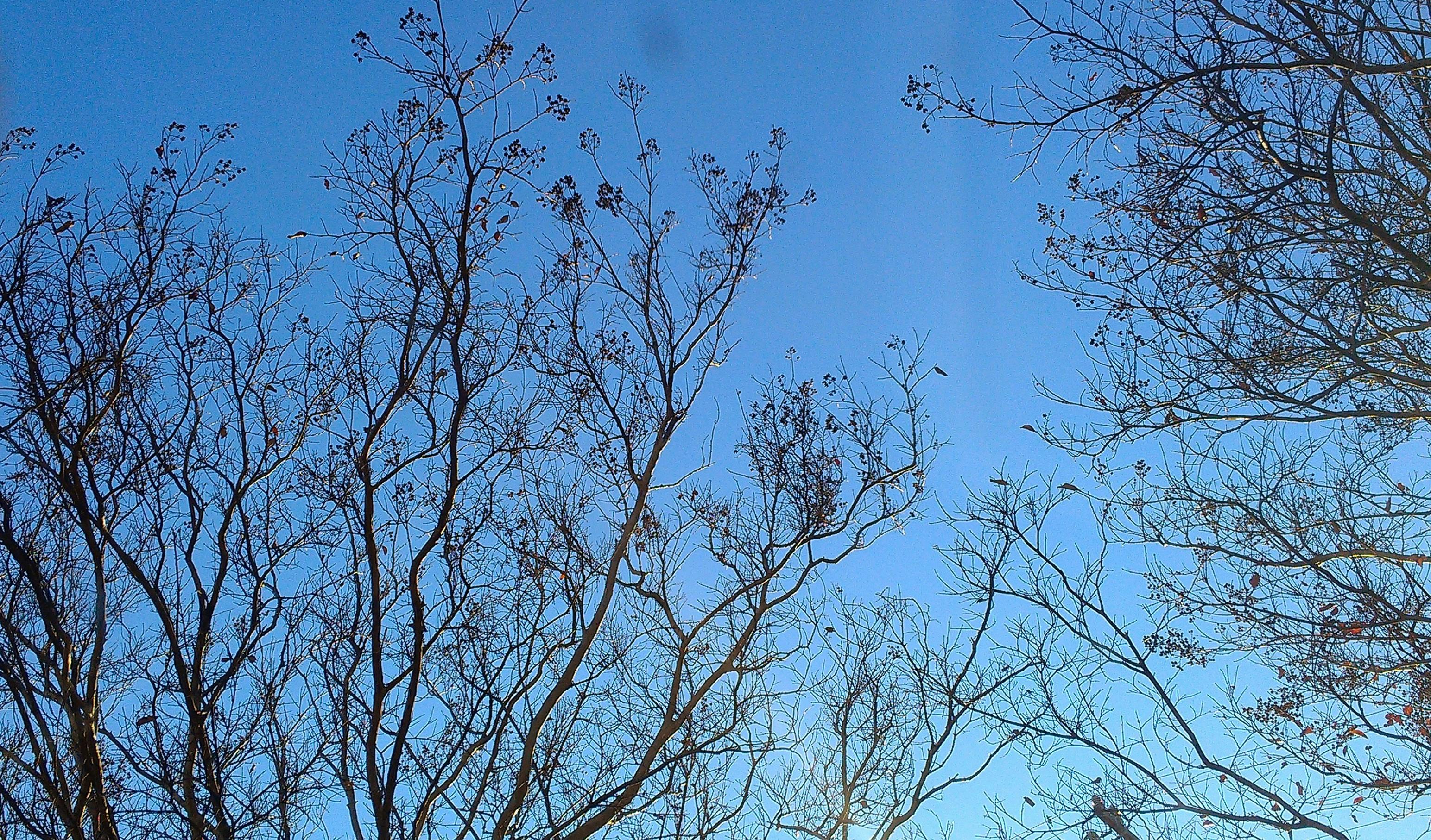 Дівчина фотографує мальовничий краєвид на Балі