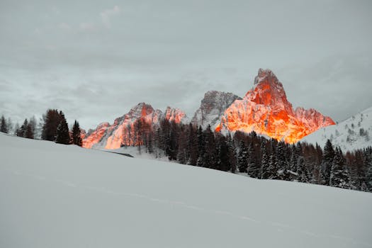 Majestic sunset illuminating snow-covered Dolomite mountains and evergreen forest.