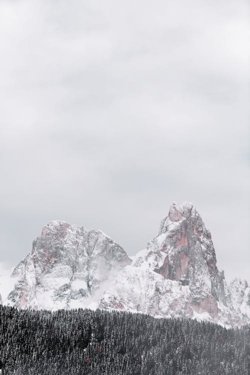 Montaña Cubierta De Nieve Por Bosque Durante La Temporada De Invierno