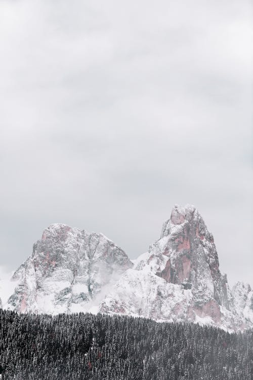 Montagne Couverte De Neige Par La Forêt Pendant La Saison D'hiver