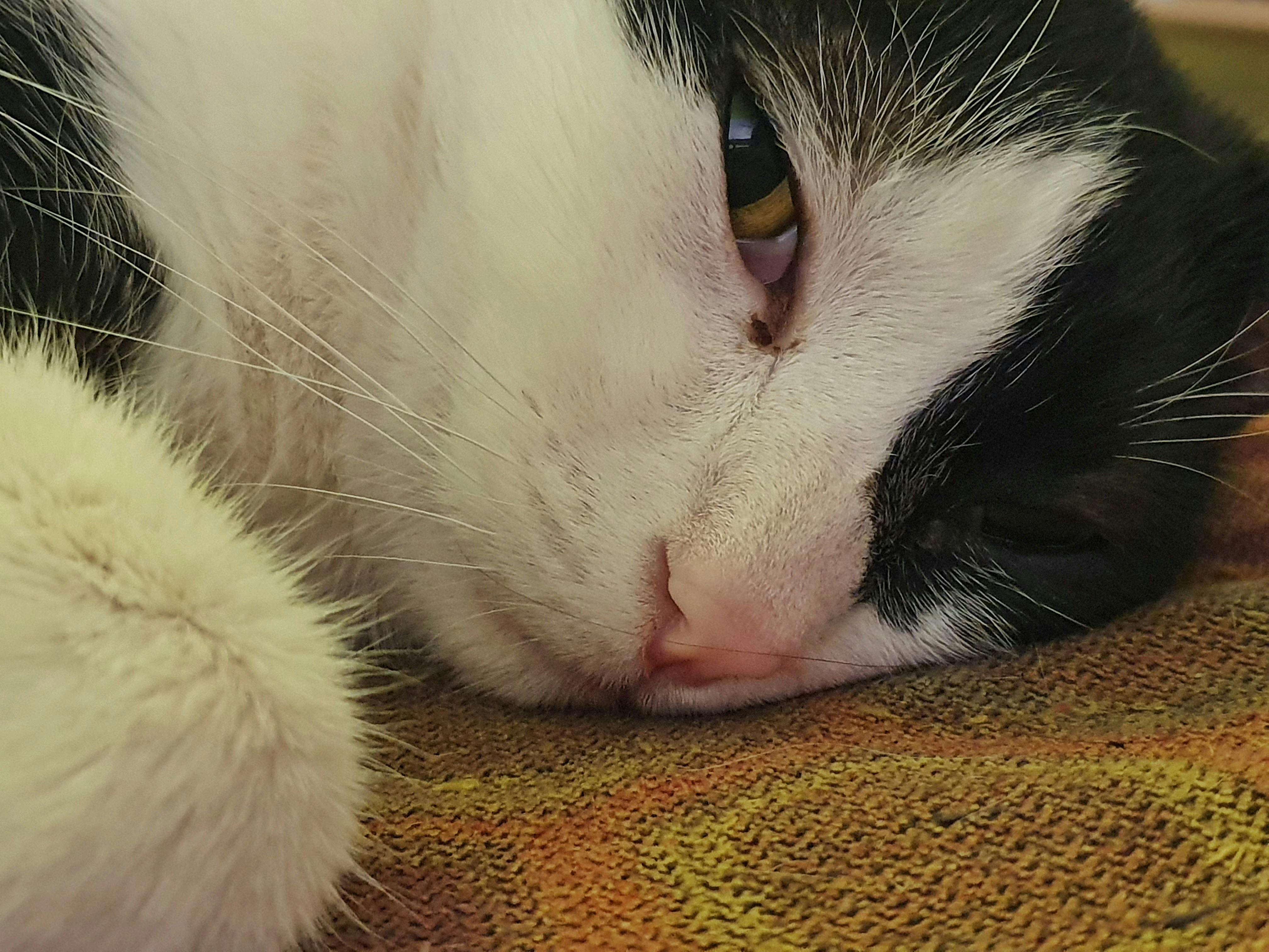 \u0411\u0435\u0441\u043f\u043b\u0430\u0442\u043d\u044b\u0435 \u0441\u0442\u043e\u043a\u043e\u0432\u044b\u0435 \u0444\u043e\u0442\u043e \u043d\u0430 \u0442\u0435\u043c\u0443 \u0430\u0440\u043e\u0447\u043d\u044b\u0435 \u043e\u043a\u043d\u0430, \u0430\u0440\u0445\u0438\u0442\u0435\u043a\u0442\u0443\u0440\u0430 ...