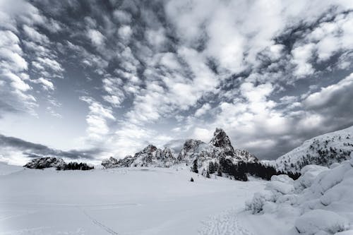 Champ De Neige Avec Montagne