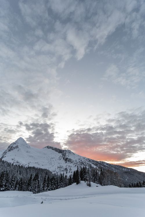 A snowy mountain range with trees and snow covered ground · Free Stock ...