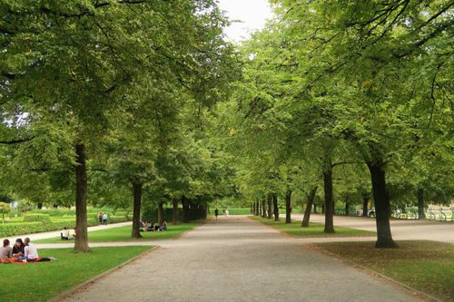 Free City park with a tree-lined pathway and people relaxing on the grass. Stock Photo