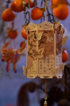 Delicate Asian-style lantern adorned with butterflies against a vibrant background of orange fruits.