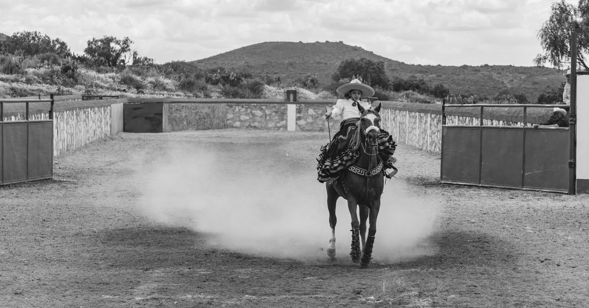 Mexico Ranches Stable Traditional Mexican Ranch Horse Riding in Hidalgo · Free Stock Photo