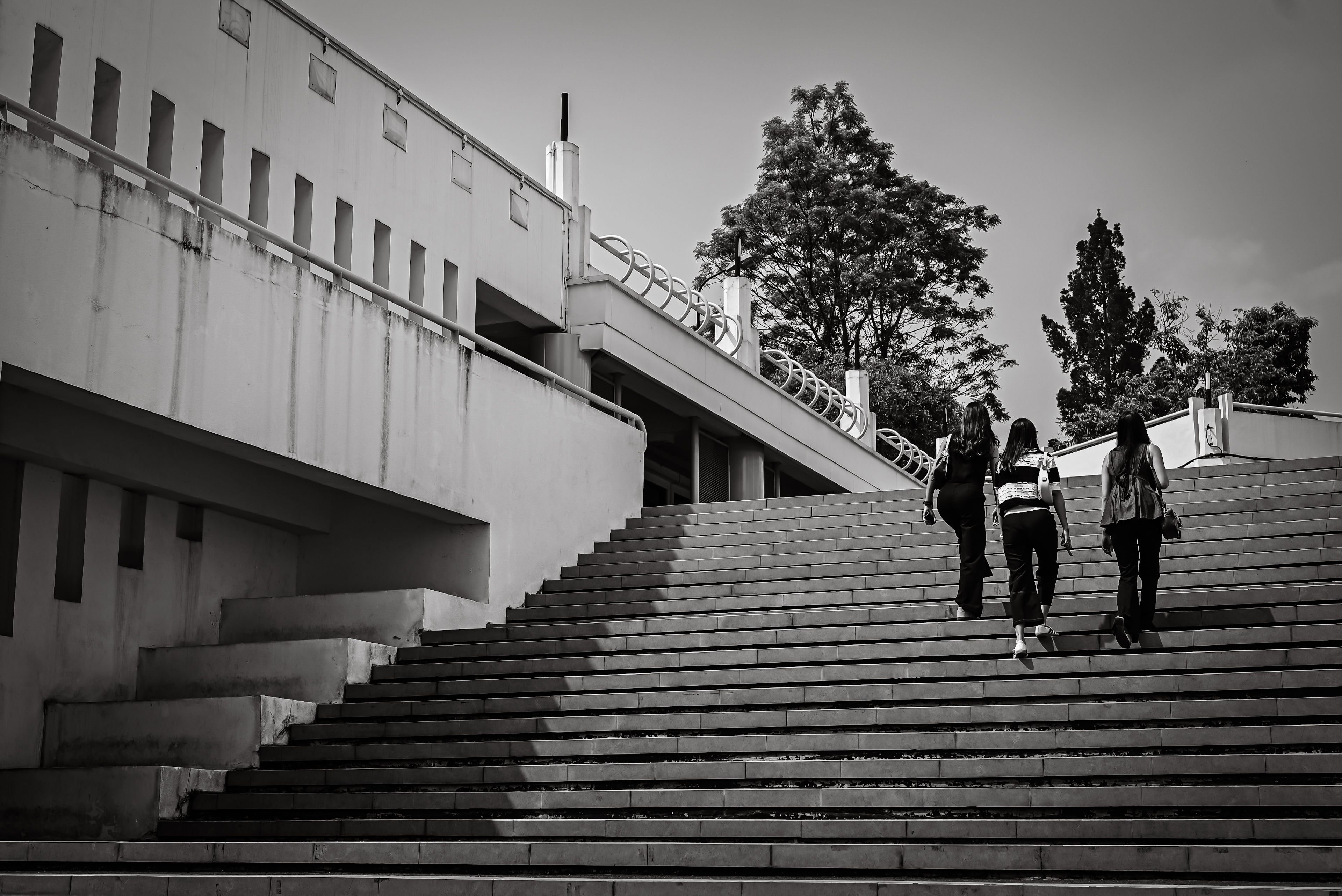 Modern Campus Architecture in Black and White · Free Stock Photo