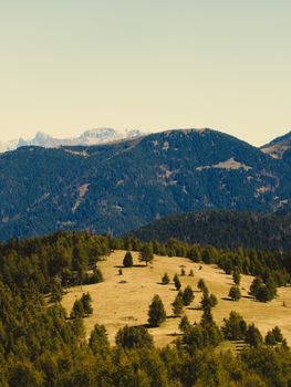 Breathtaking view of rolling green hills and mountains in Trentino-Alto Adige, Italy.
