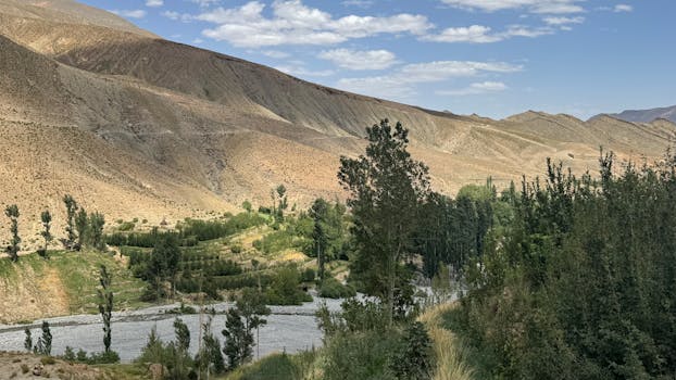 Breathtaking view of the rugged mountains and lush greenery of the Dades Valley in Morocco.