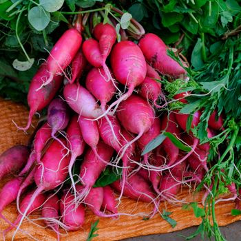 Radish