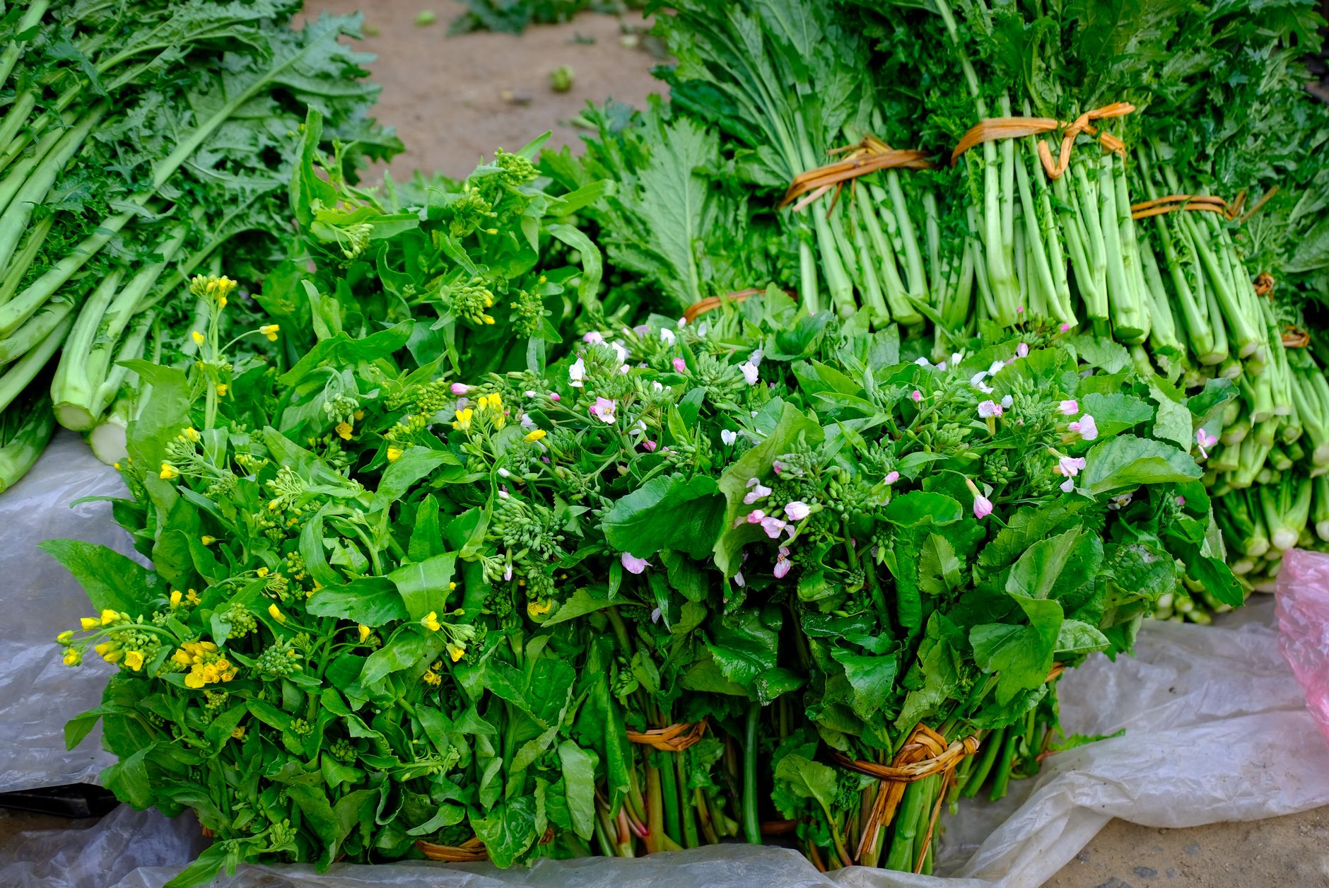 Xu hướng healthy, organic, sugar-free: Cơ hội vàng cho FMCG Việt Nam năm 2026