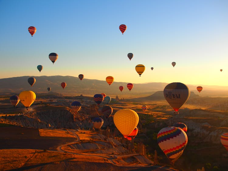 Multicolored Hot Air Balloons