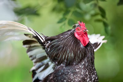 Comatozze+Free Photos, Download The BEST Free Comatozze+Free Stock