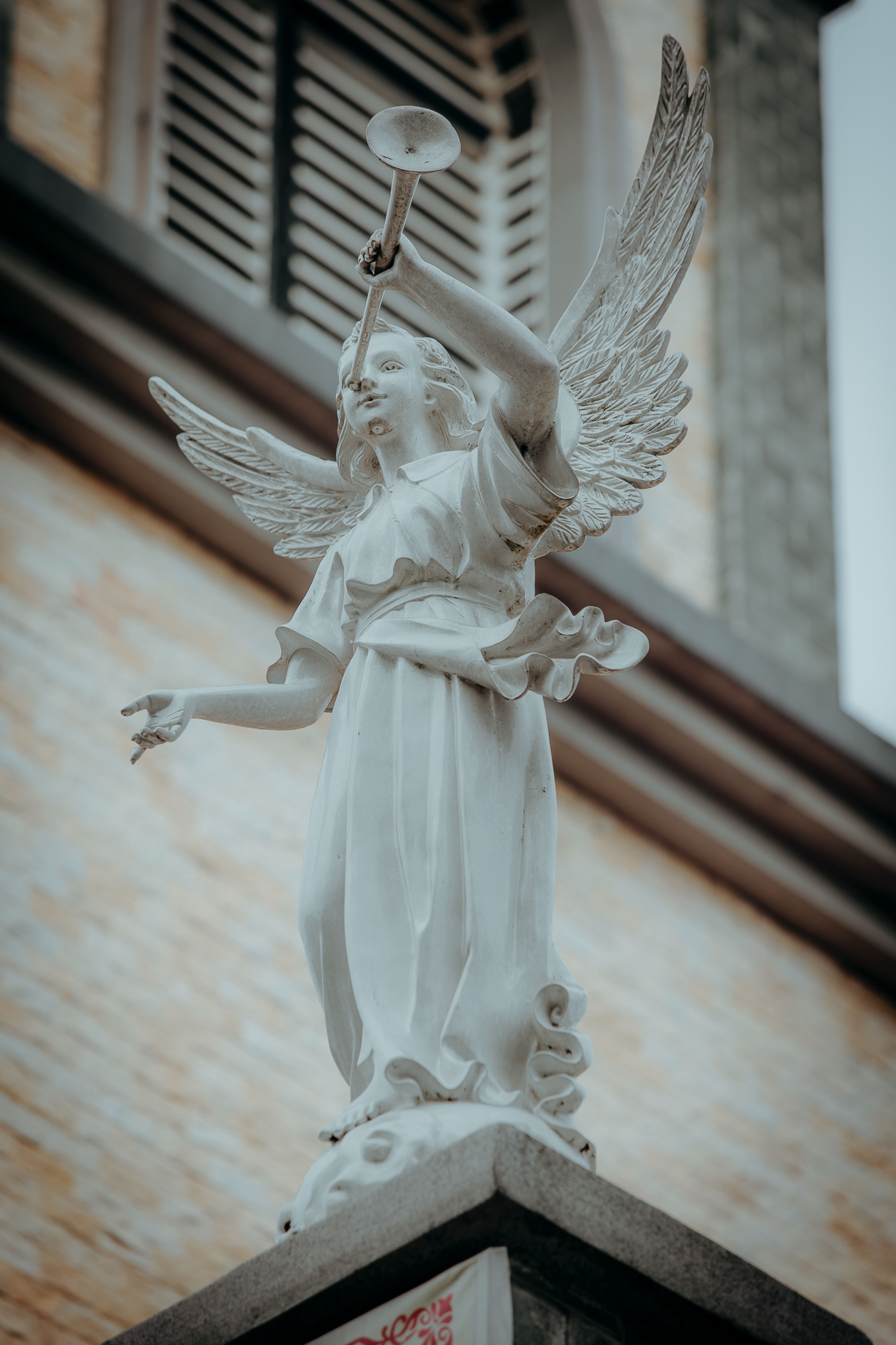 Vintage Pfp Photos, Download The BEST Free Vintage Pfp Stock Photos ...