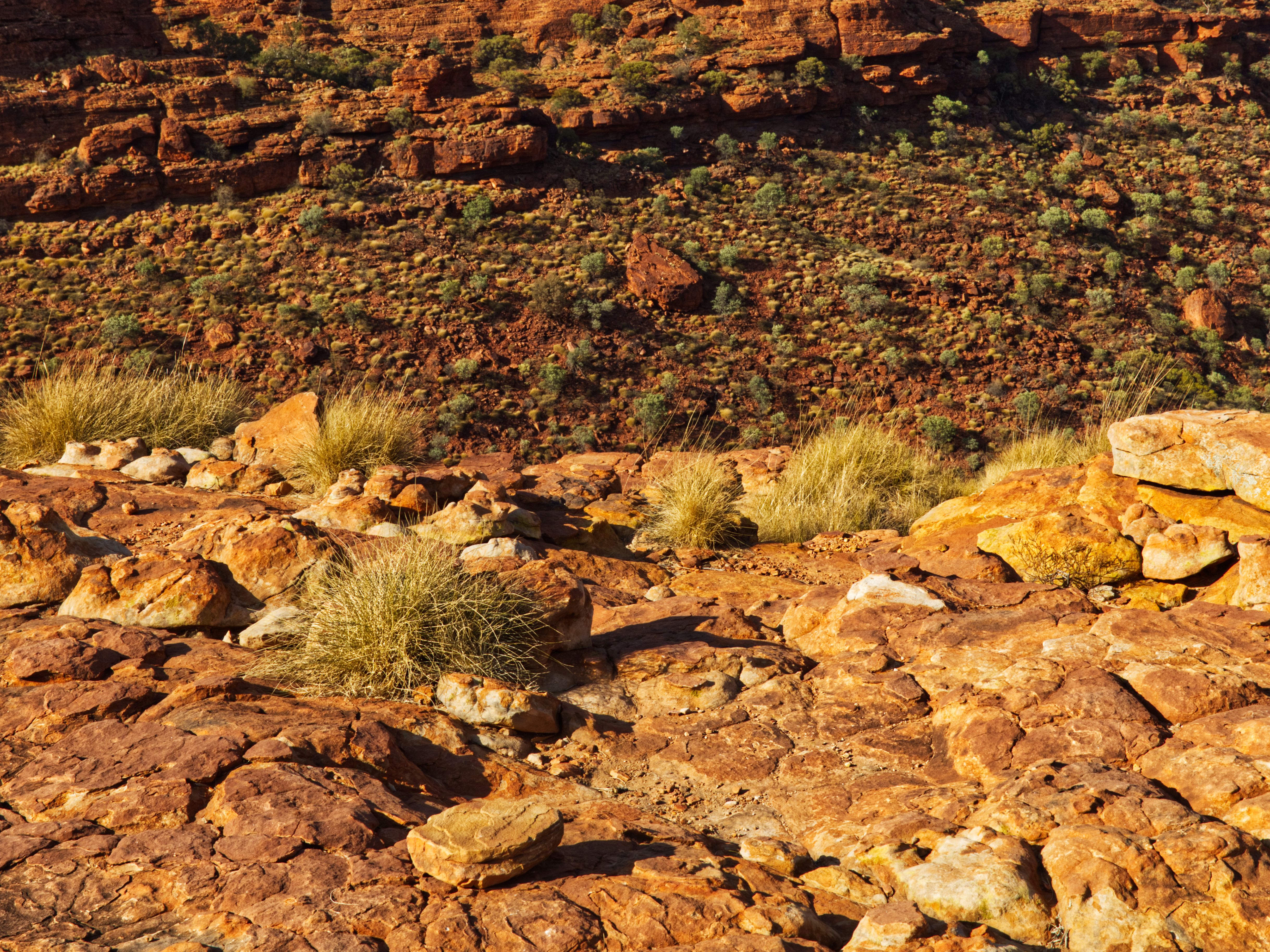 Stunning desert landscape with red rock formations in Northern Territory, Australia.