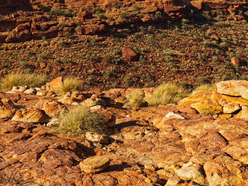 Traveler with a backpack looking at the vast Australian outback, representing adventure and the need for insurance
