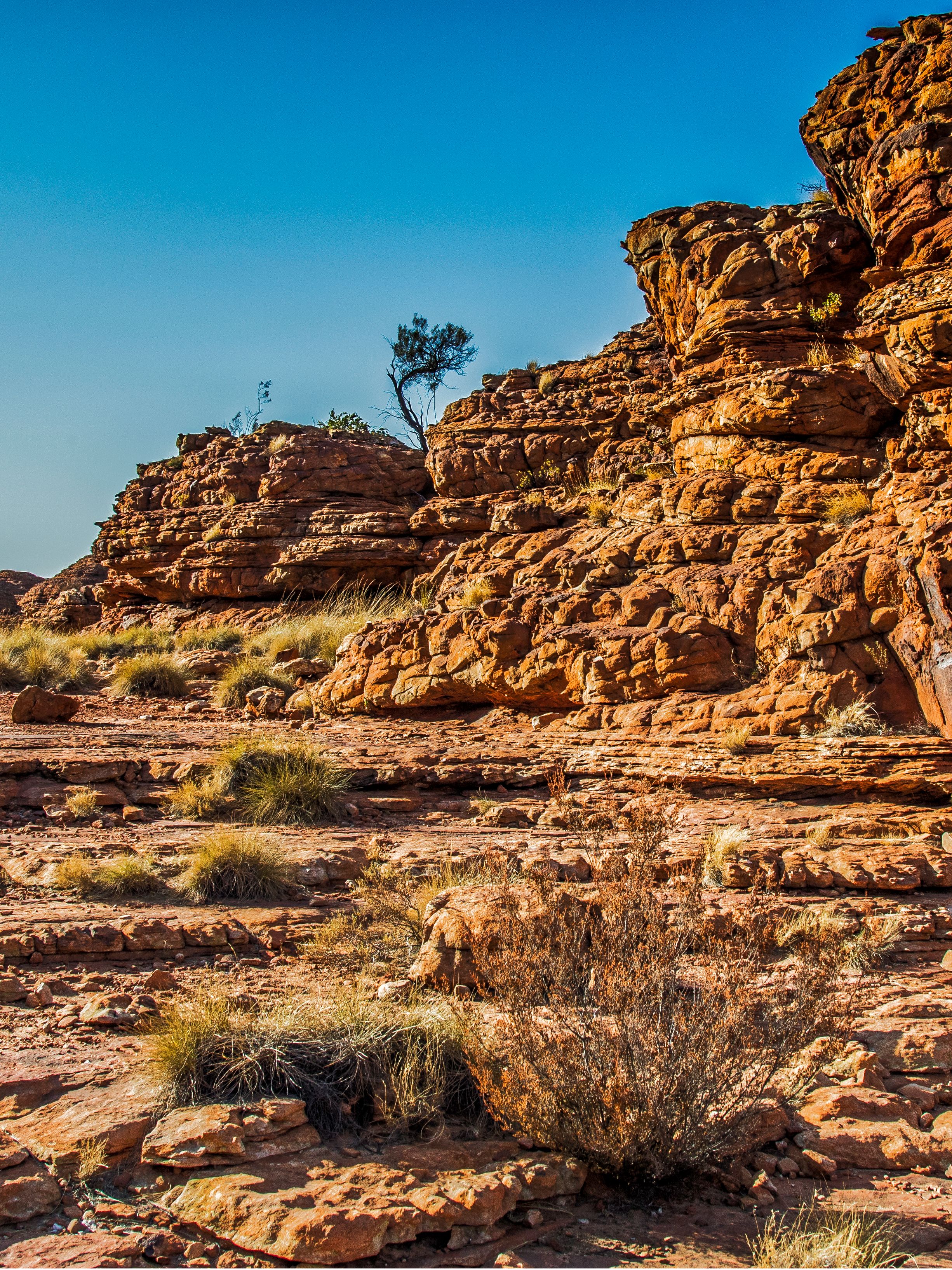 Kings Canyon
