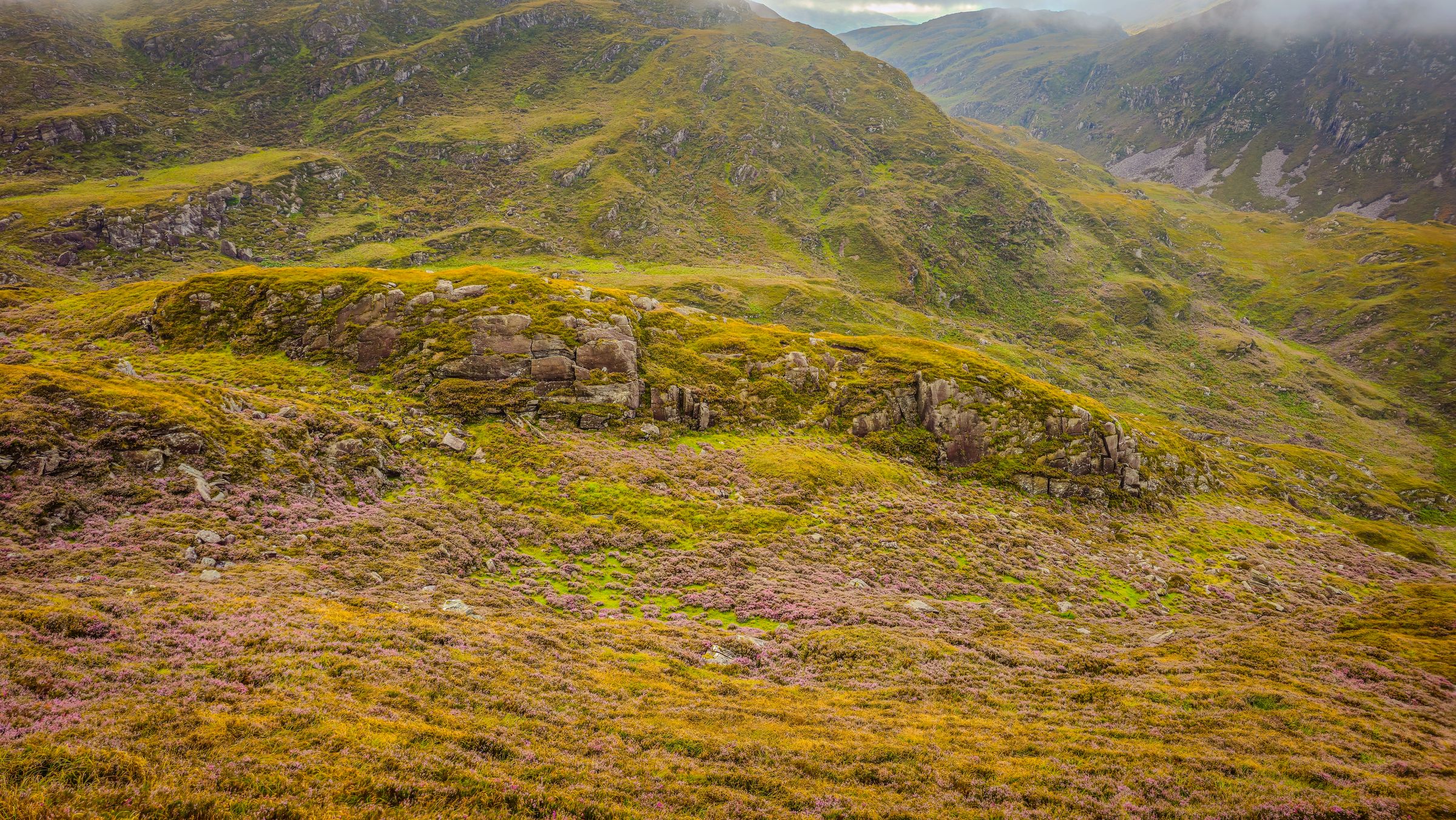 Vibrant, rolling hills of Killarney, Ireland, with greens and purple heather