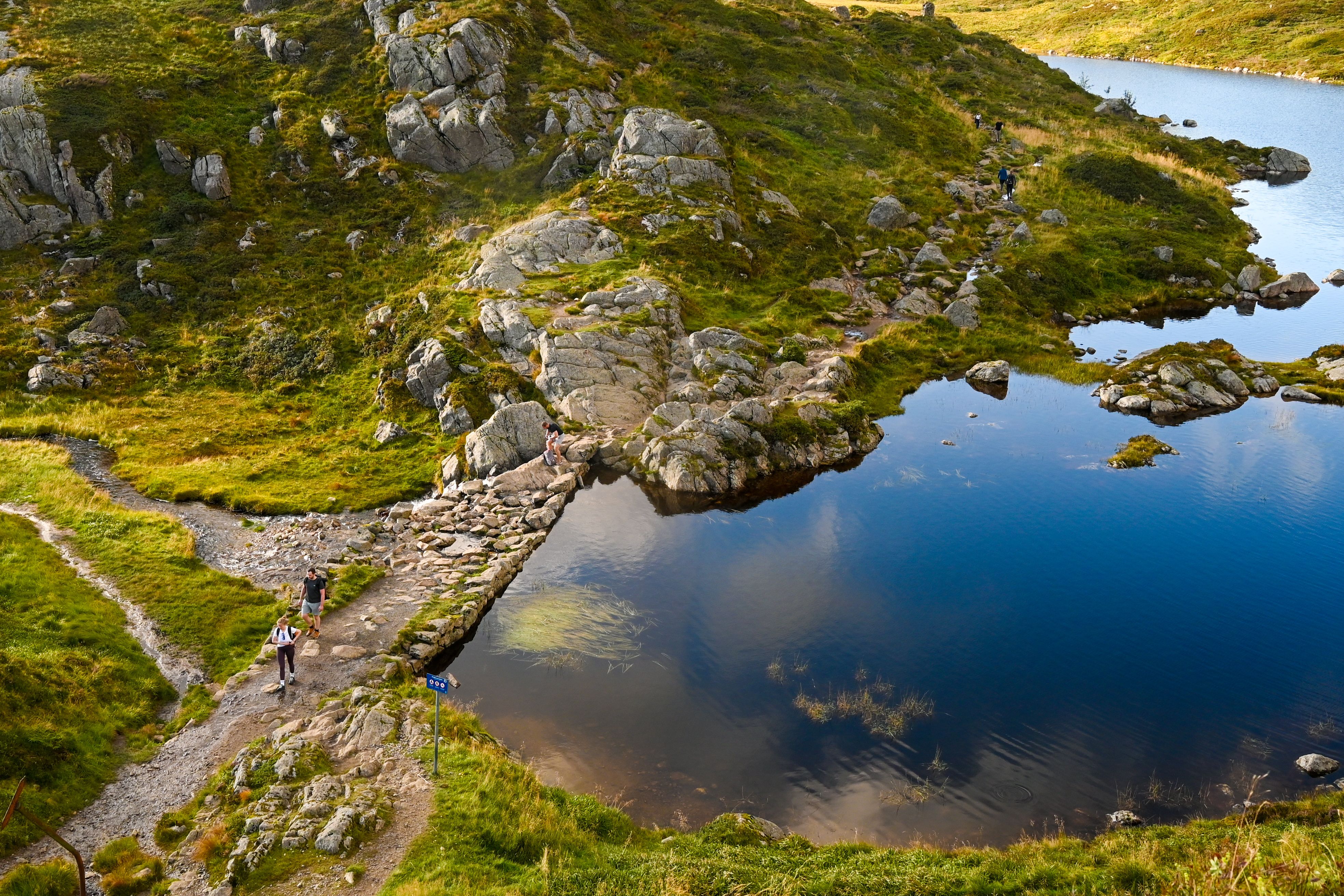 Scenic Mountain Pond with Hiking Trails · Free Stock Photo