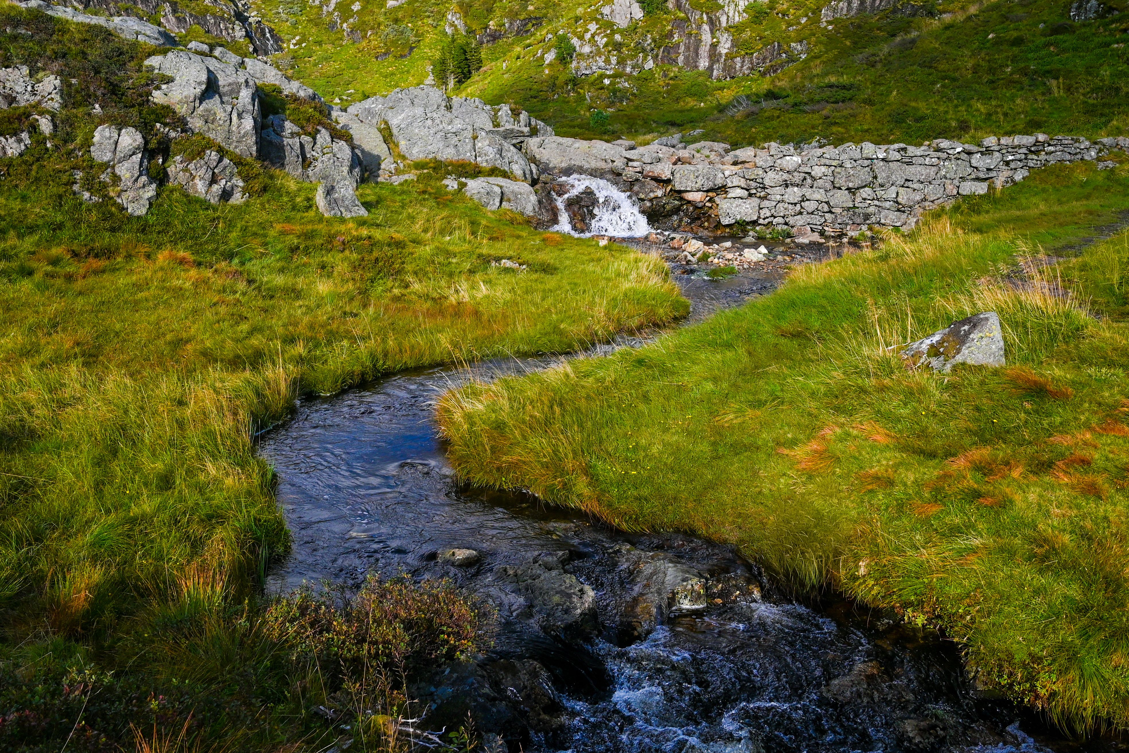 Serene Mountain Stream Flowing Through Lush Green Terrain · Free Stock ...