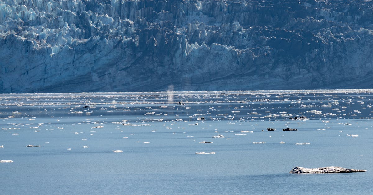 鯨魚演化與猛獁滅絕的隱藏連結:阿拉斯加科學發現如何預示2026年氣候危機對海洋生態的衝擊? 鯨魚演化與猛獁滅絕的隱藏連結:阿拉斯加科學發現如何預示2026年氣候危機對海洋生態的衝擊?