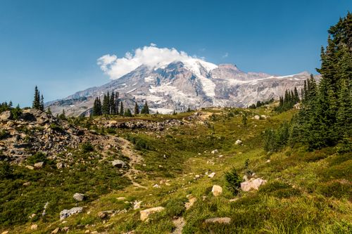 Free Scenic landscape of Mount Rainier with vibrant greenery and clear blue sky. Stock Photo