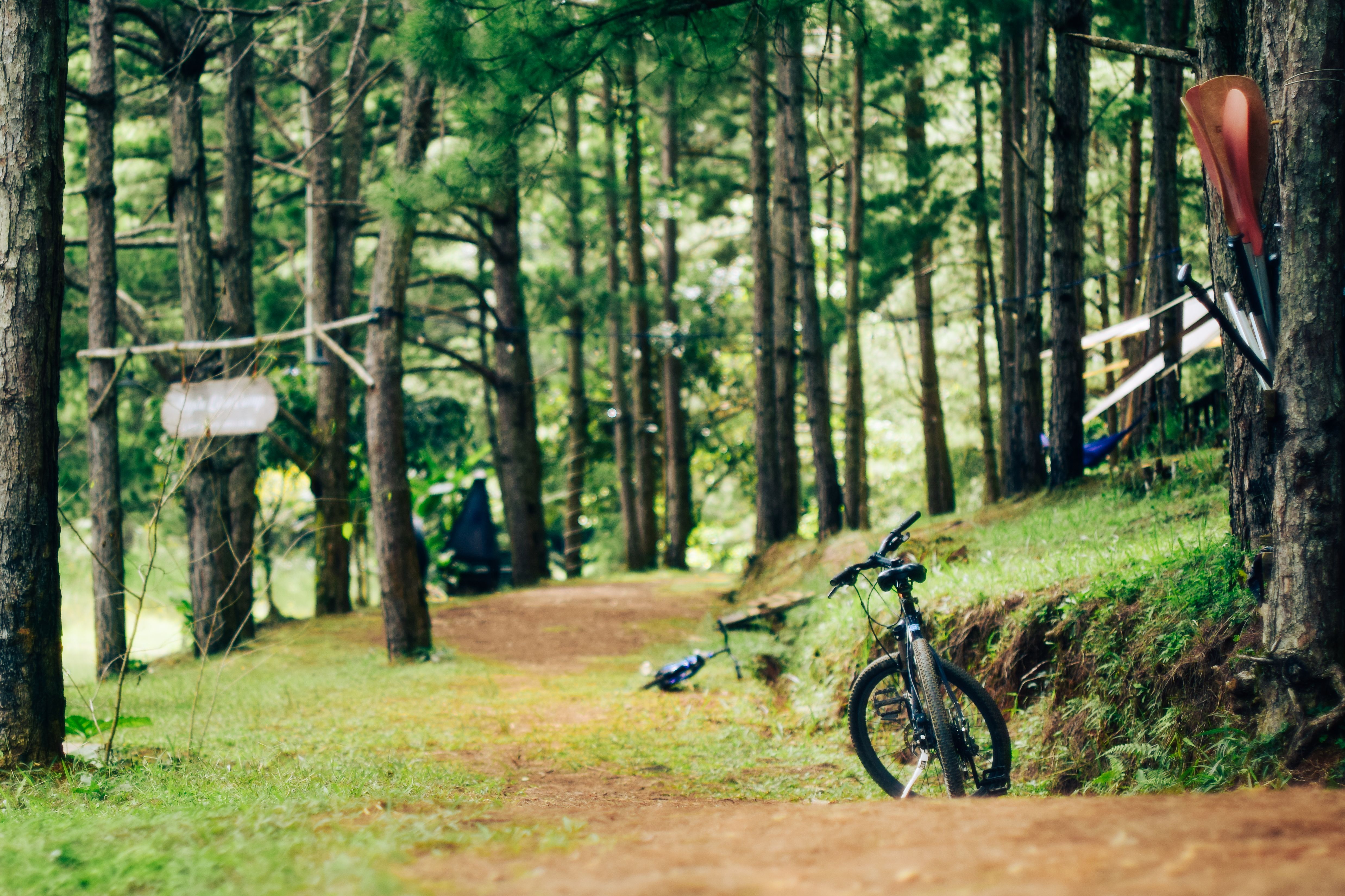 How outdoor recreation is helping build durable economies — Photo by Dongdilac on Pexels