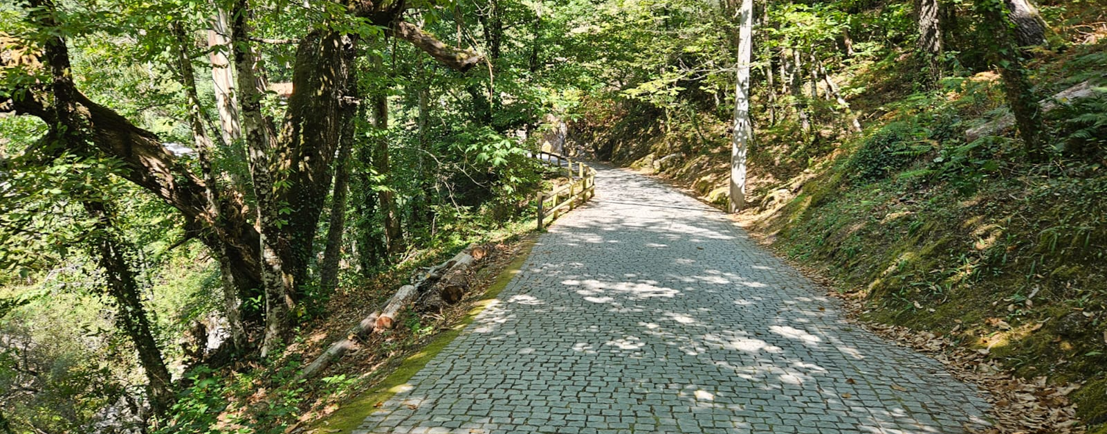 Tranquil cobblestone path winding through a lush forest in Seia, Portugal.