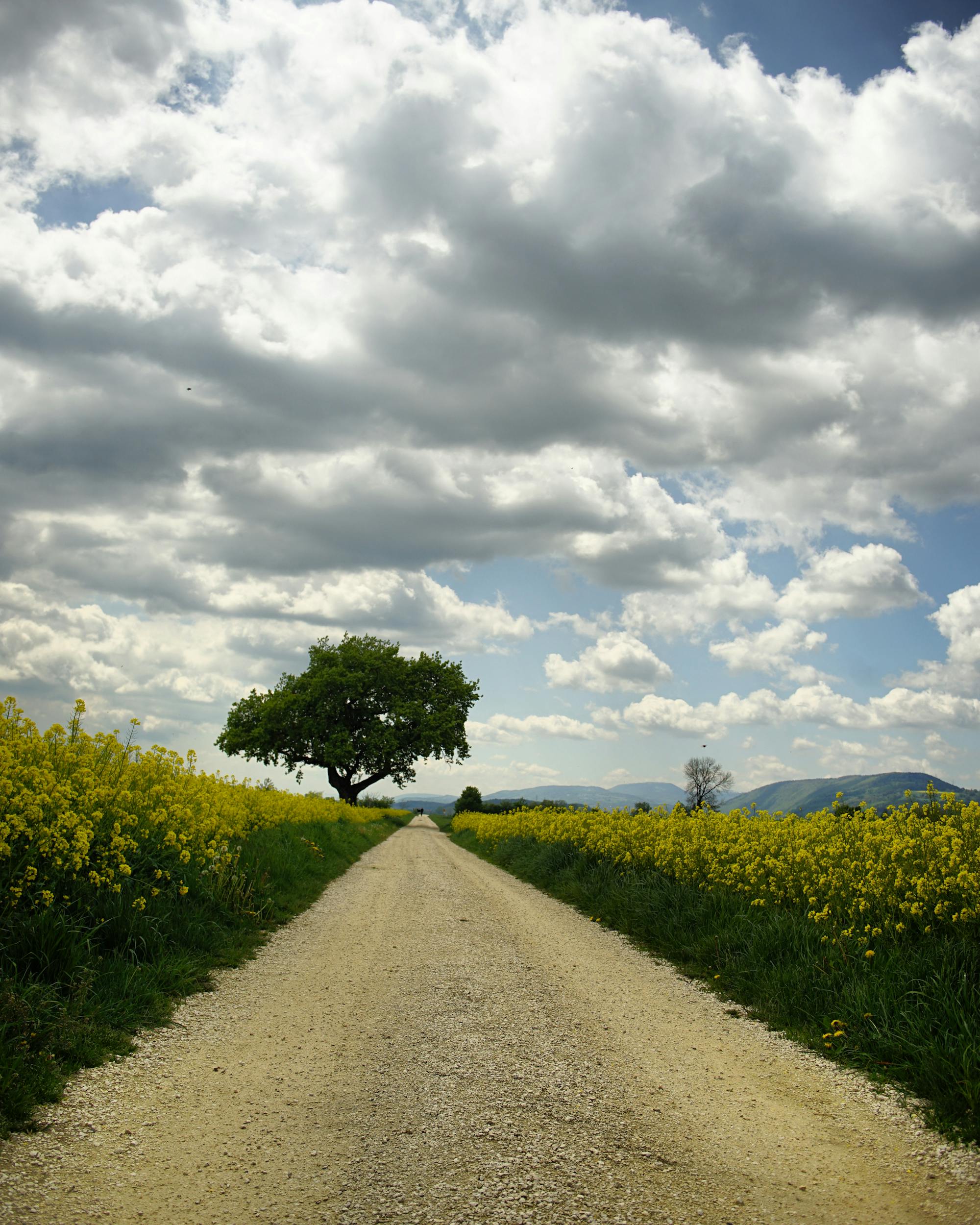 LNG carrier at terminal
