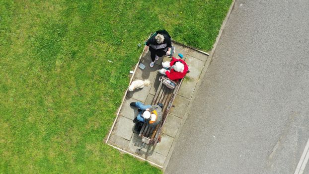 Aerial view of three people and a dog on a park bench enjoying a sunny day outside.