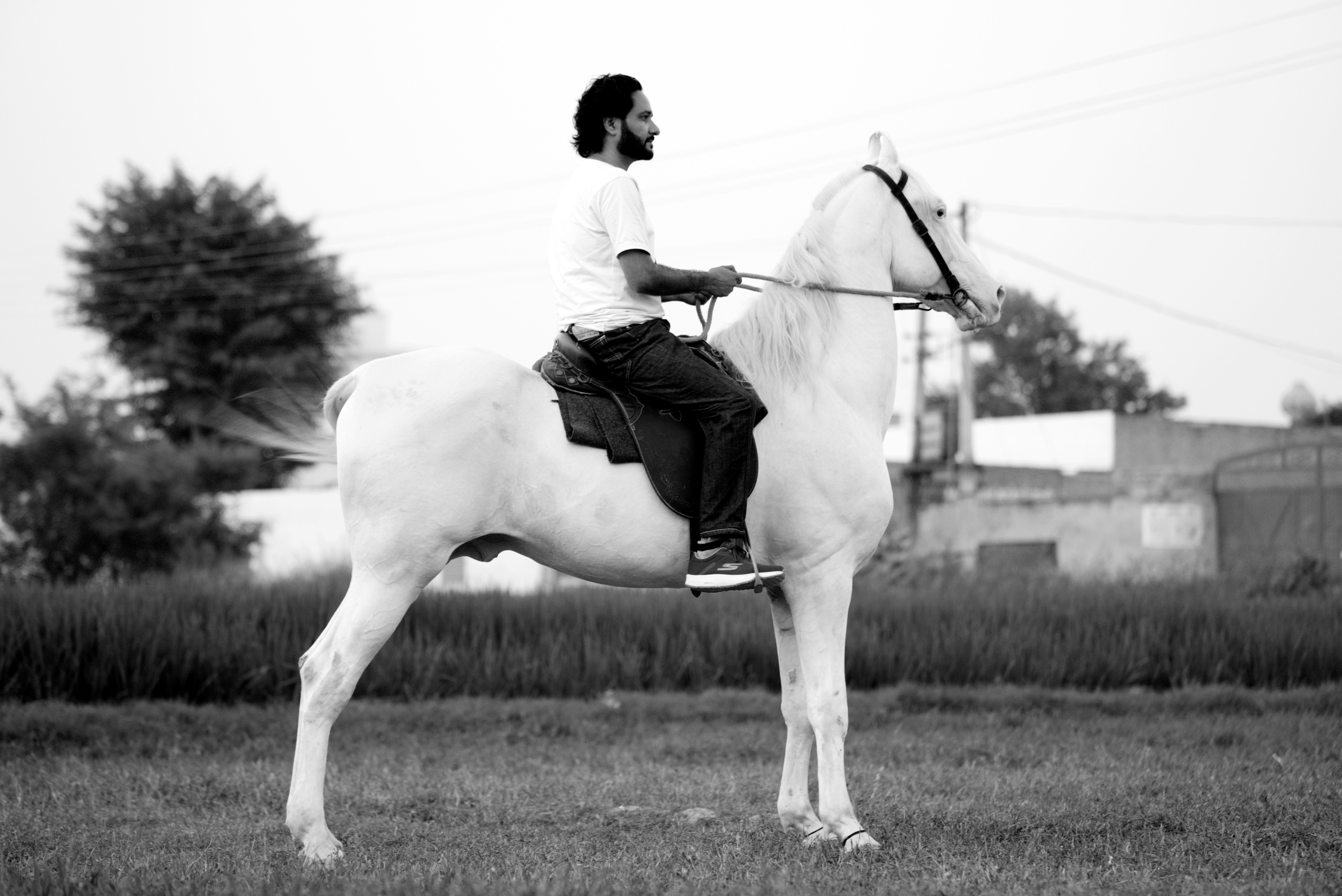 Man Riding Horse In Black And White Outdoor Setting Free Stock Photo