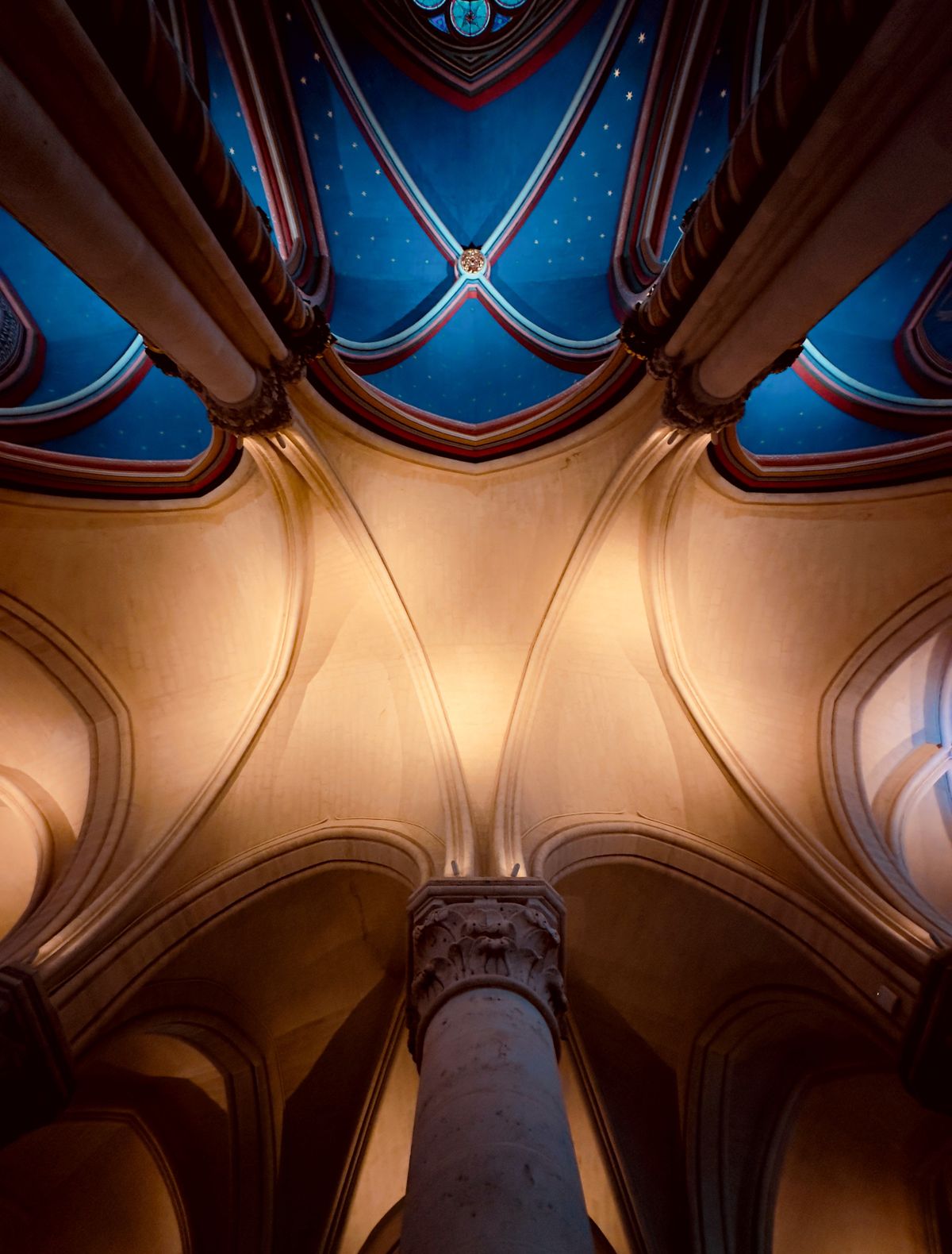 Gothic Cathedral Arched Ceiling with Blue Vaults · Free Stock Photo