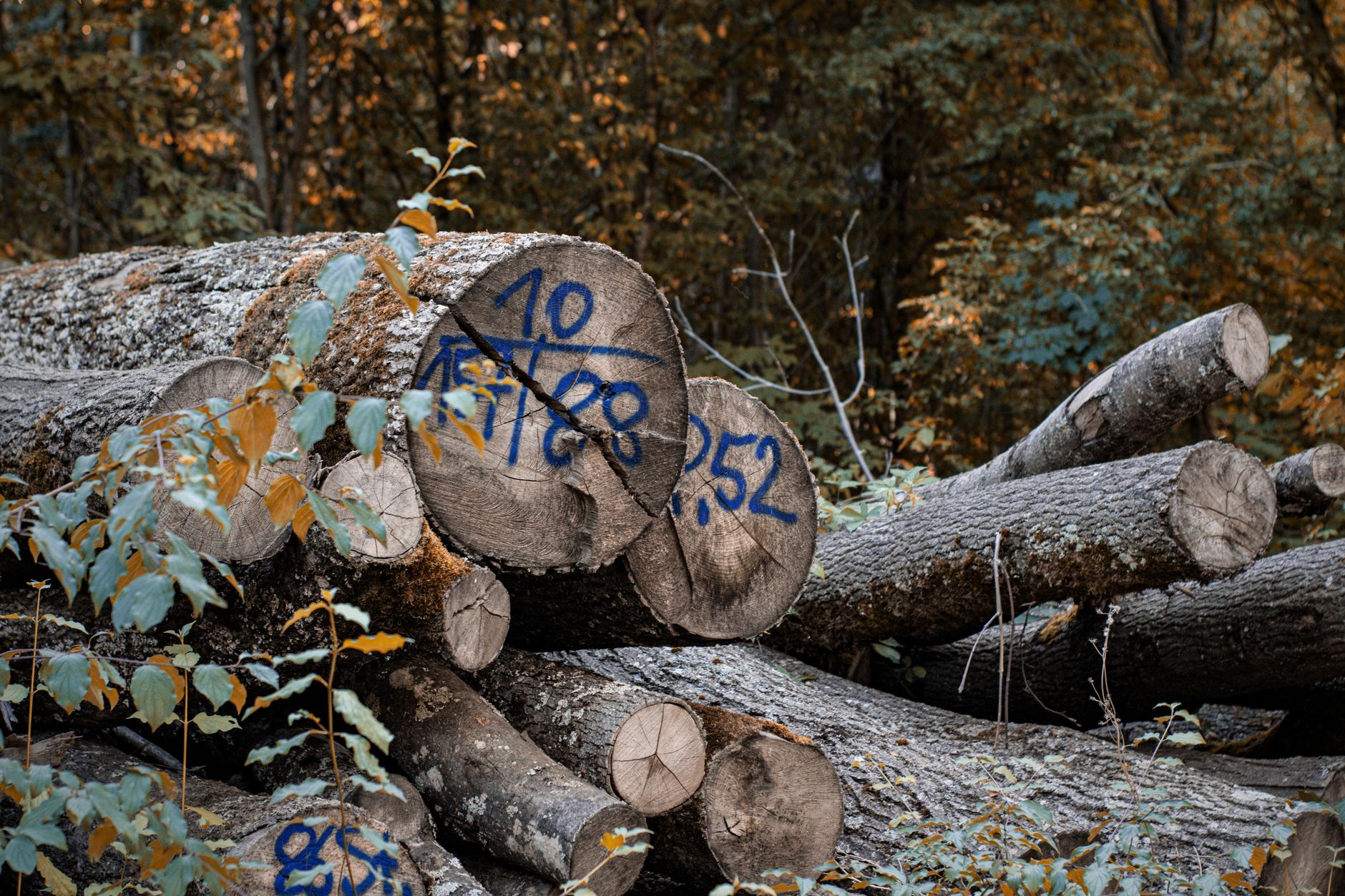 How to Parse Log Files with Python
