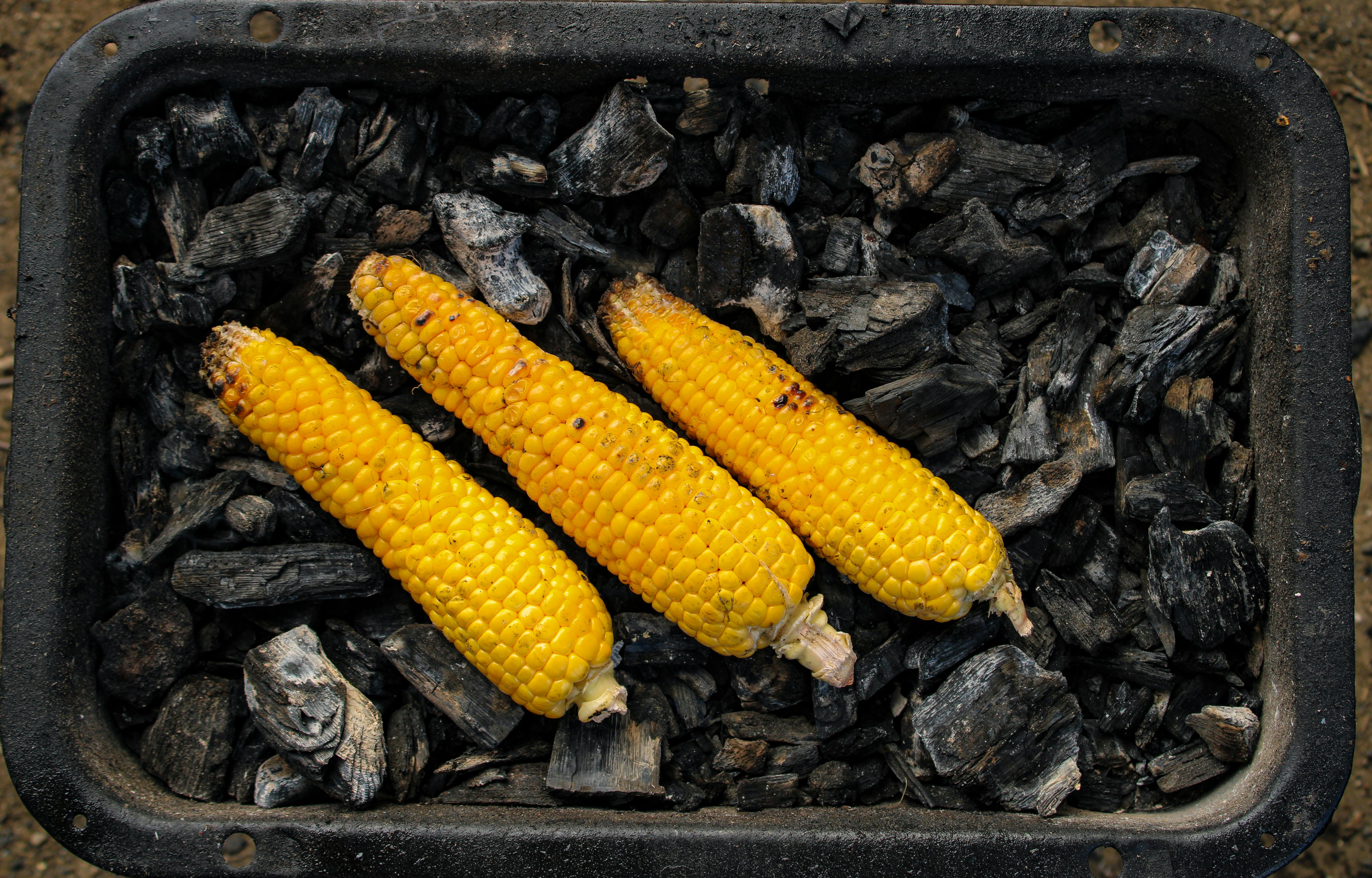 National Corn Growers Association and Ag Data Transparent Release Transparency Principles for Ag Carbon — Photo by Semih Başa