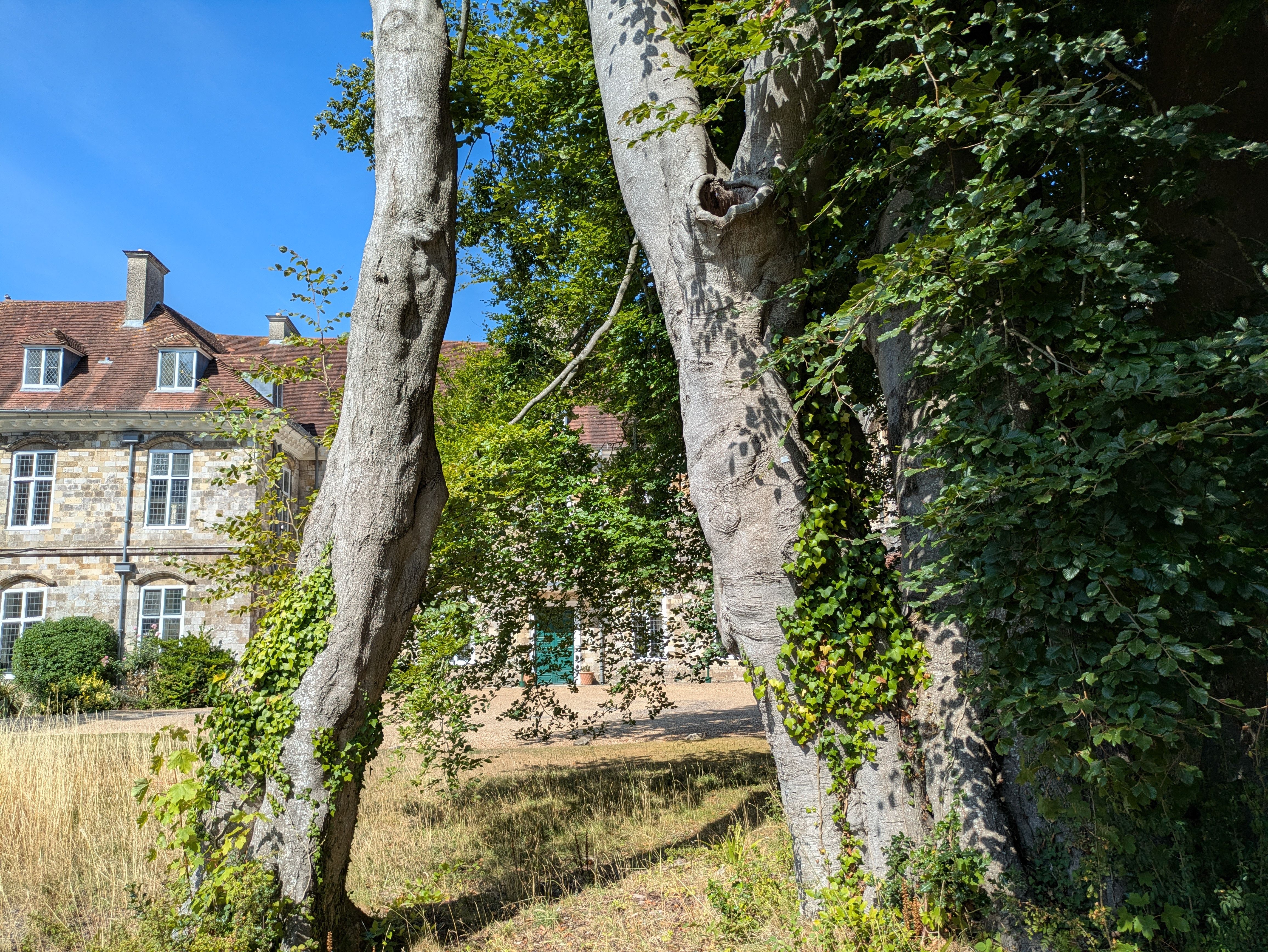 Inside Voysey House – the archival home of Sanderson Design Group — Photo by David Allen on Pexels