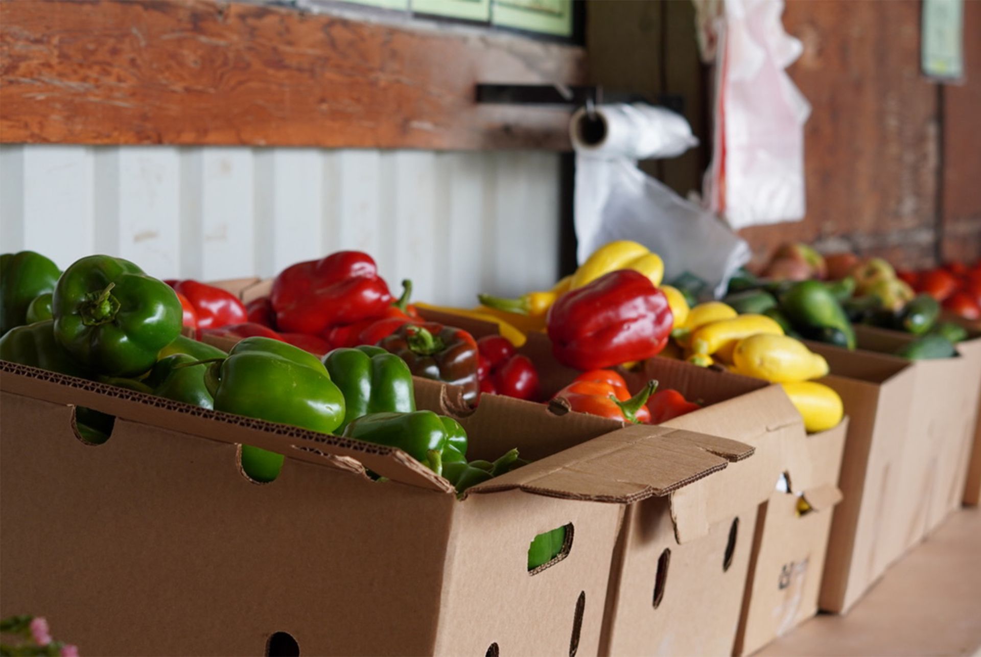 peppers and squash at the farm stand