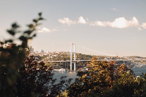 Free Captivating view of the Bosphorus Bridge in sunny Istanbul, framed by trees. Stock Photo
