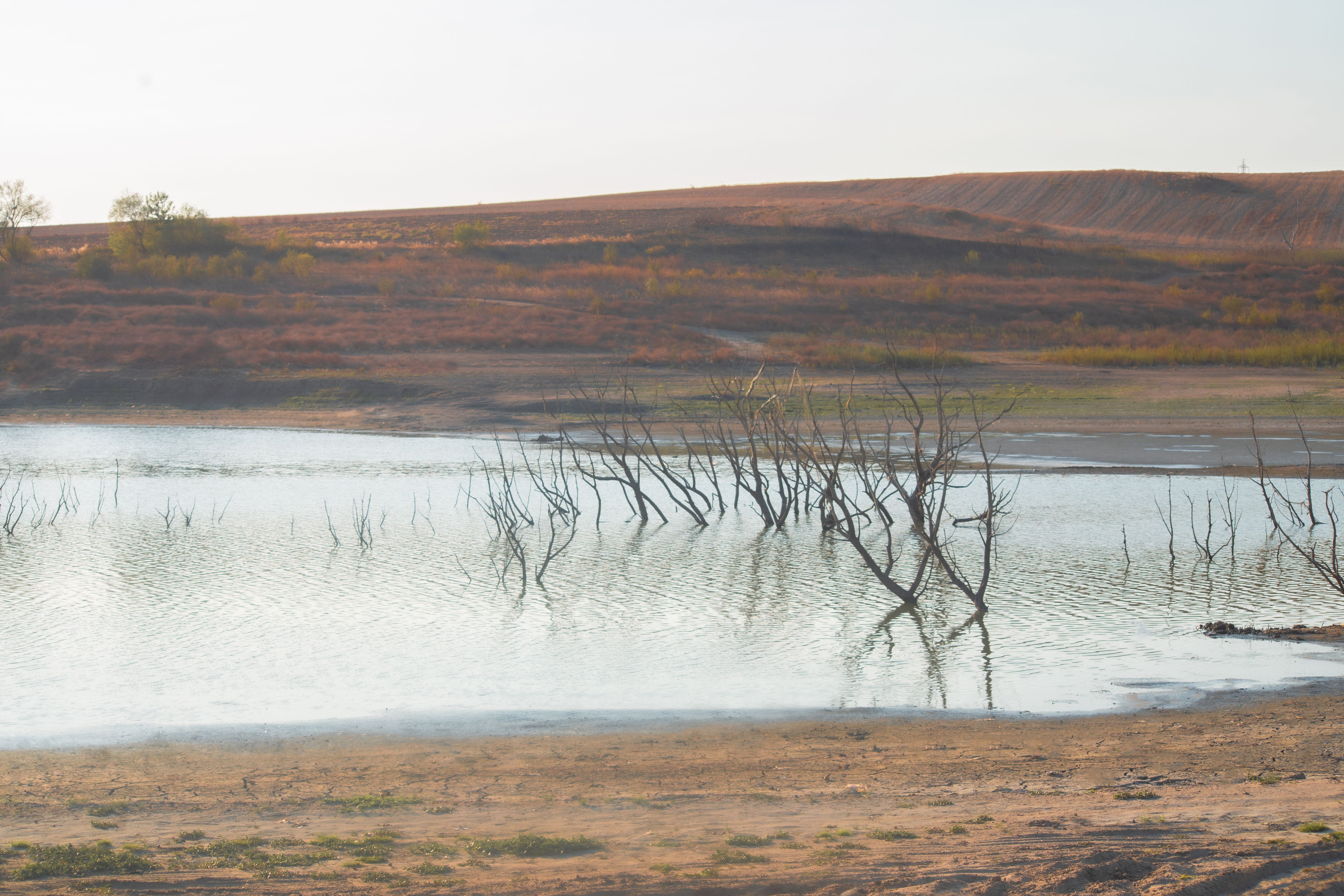 A pink soda lake shimmering under bare hills on the Magadi road