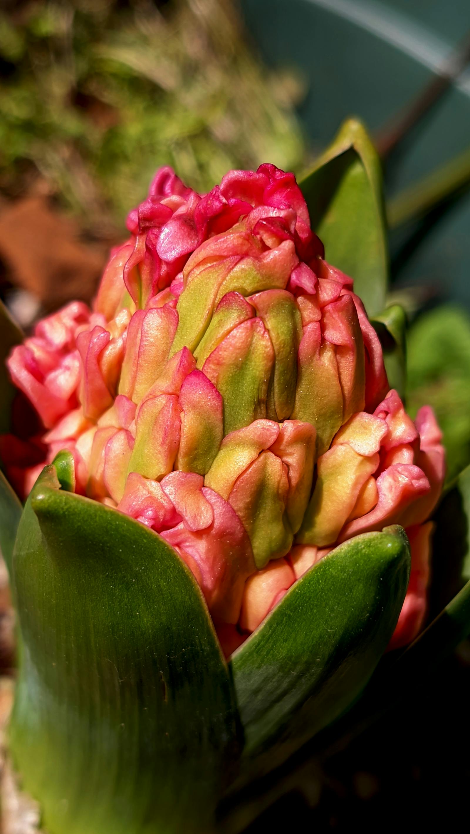 Naked+Girls+Tiktok Photos, Download The BEST Free Naked+Girls+Tiktok