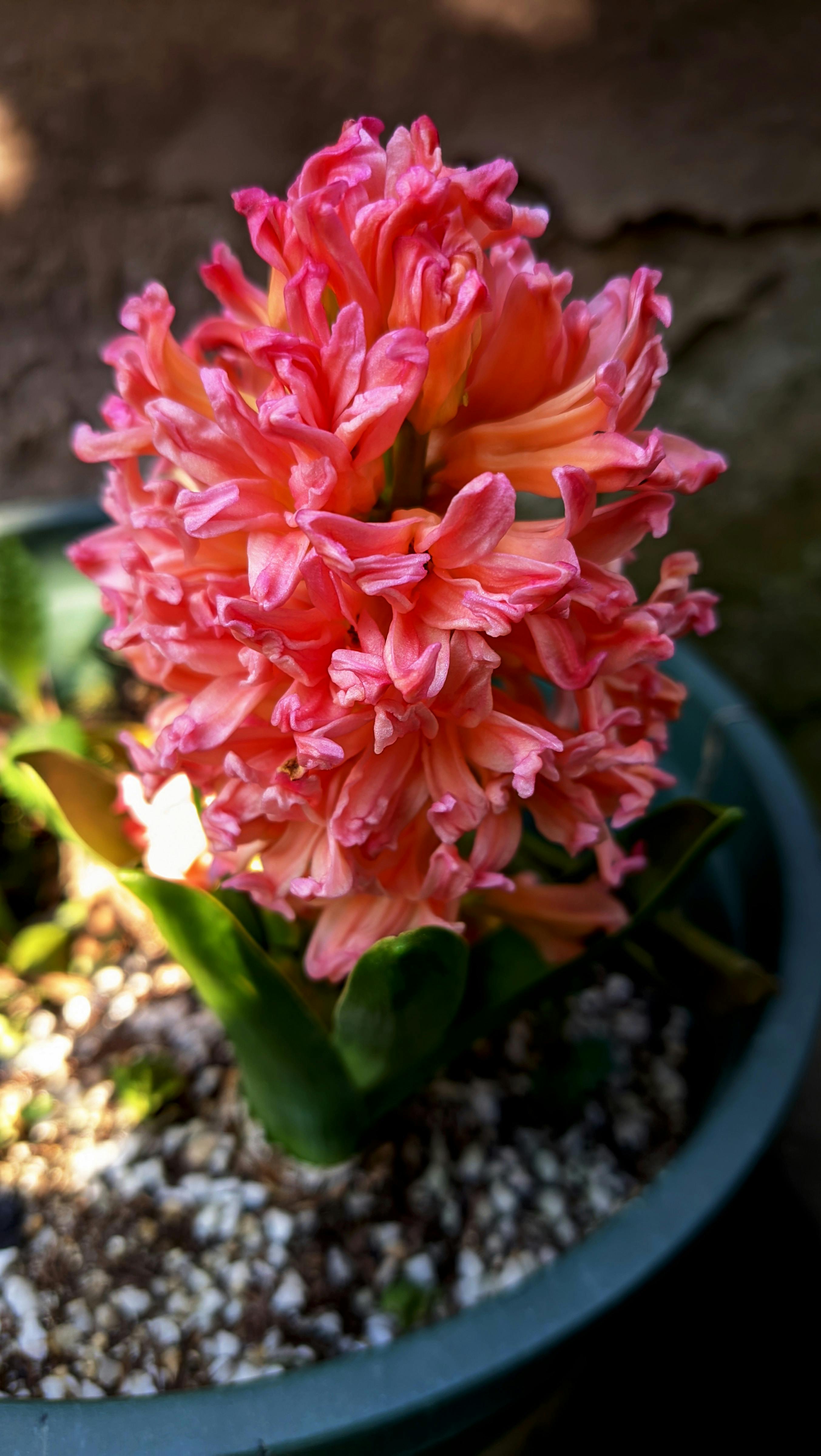 Naked+College+Girls+Selfies Photos, Download The BEST Free Naked