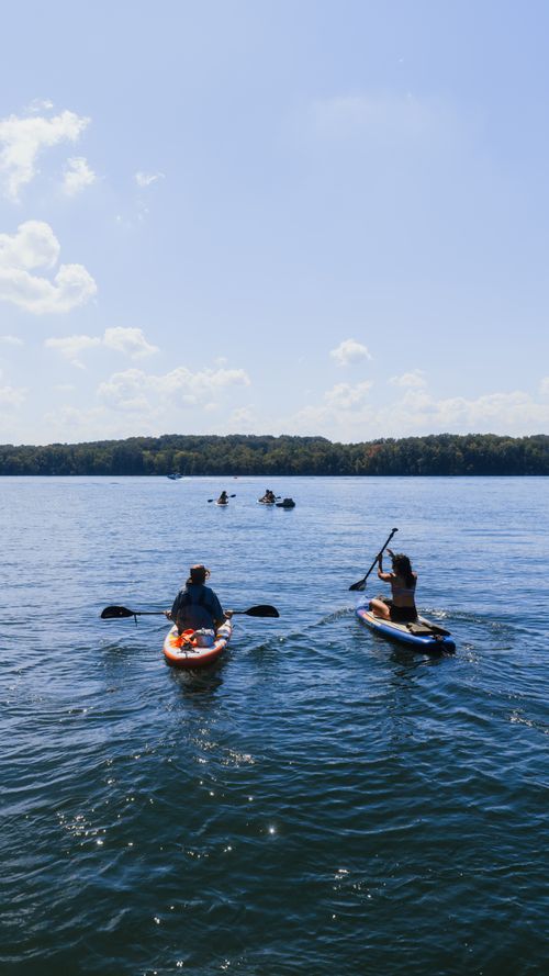 Free Two people enjoy paddleboarding on a calm lake under a clear blue sky. Stock Photo