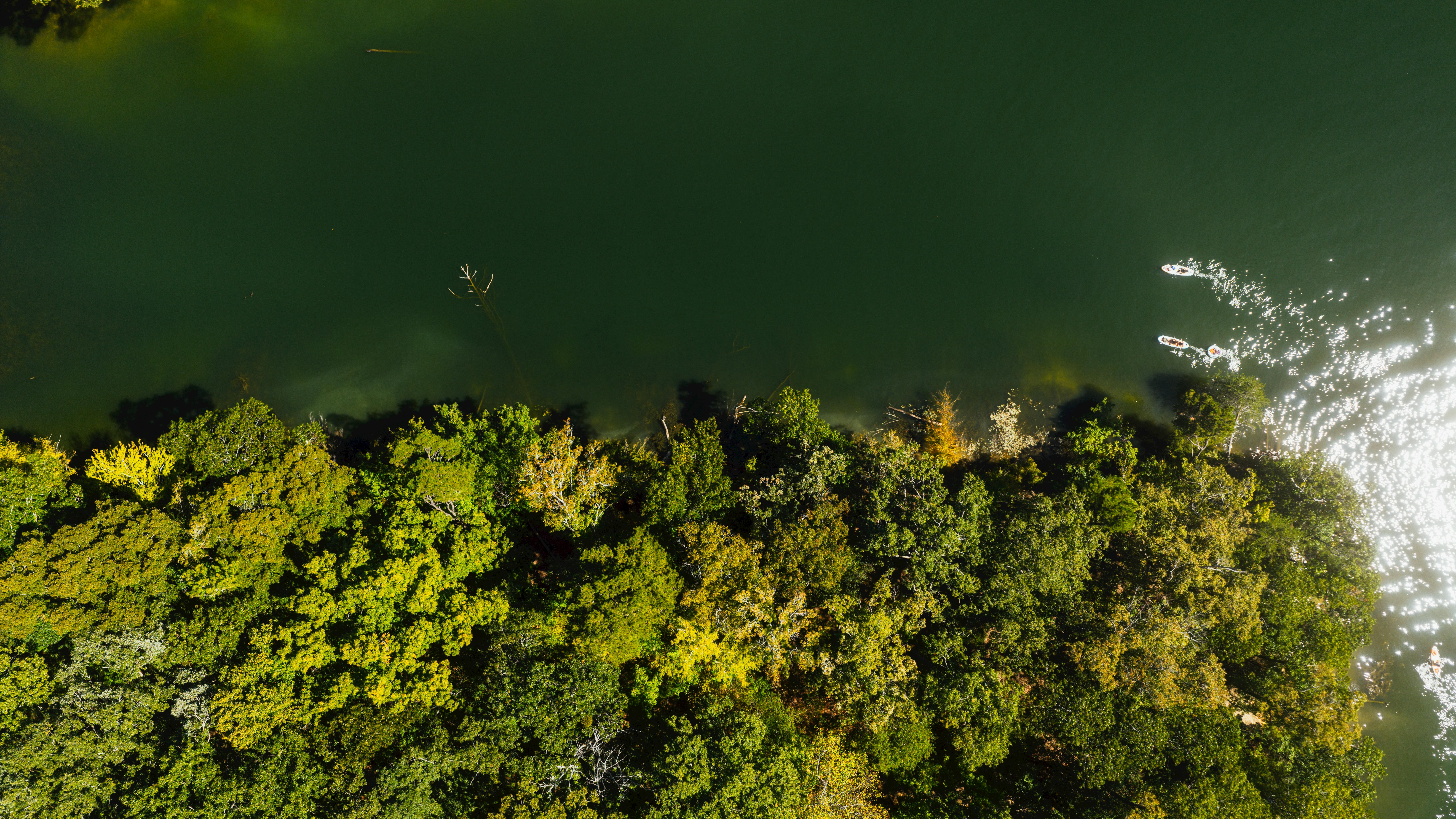 Top Quick Fitness Hacks to Boost Your Workout Efficiency