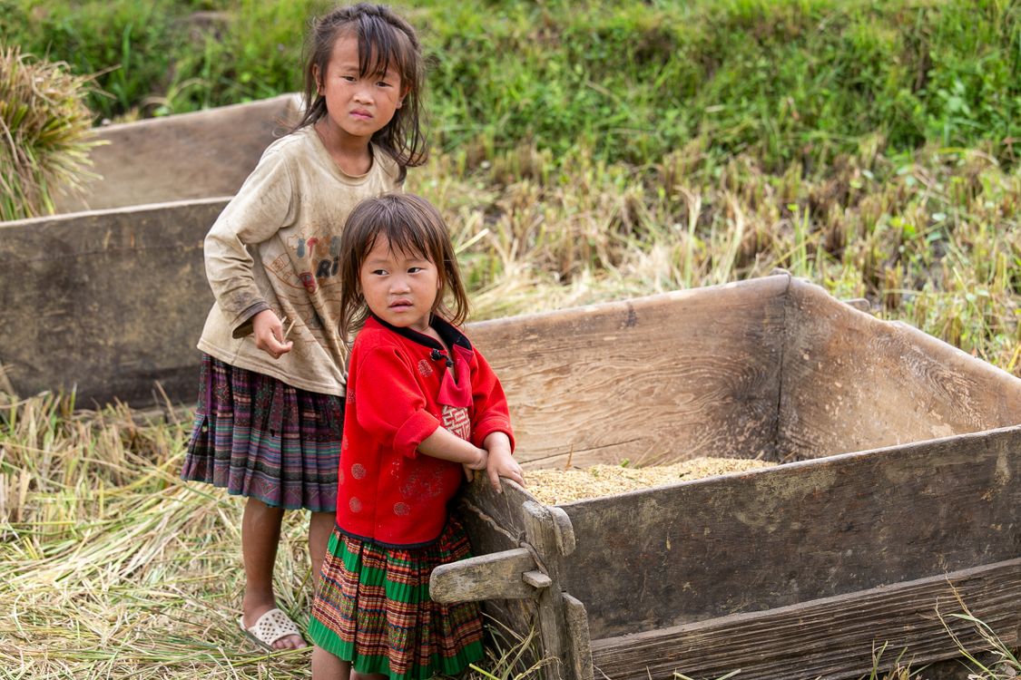 Lao Rice Boxes Children in Rice Fields of Lào Cai, Vietnam · Free Stock Photo